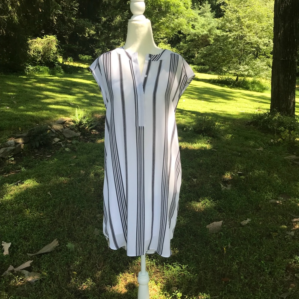 Dress or tunic